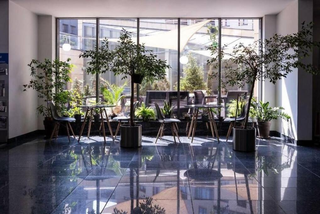 Premium Apartment For Jewish Quarter & Old Town Plus Pool クラクフ エクステリア 写真